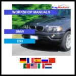 tis-BMW-E53-primary