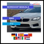 tis-BMW-F13-primary