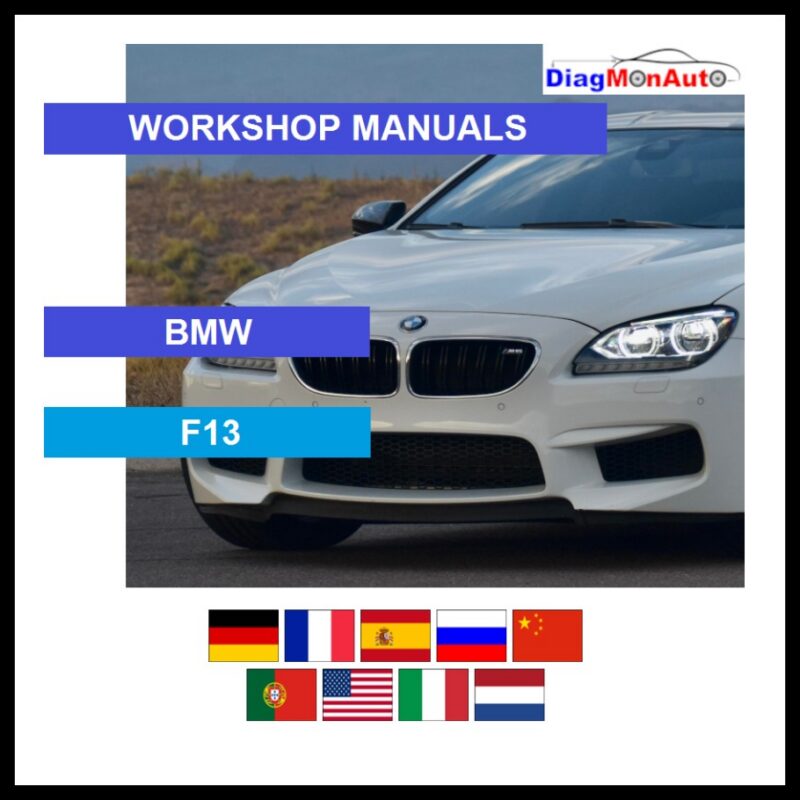 tis-BMW-F13-primary