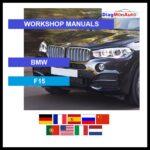 tis-BMW-F15-primary