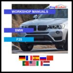 tis-BMW-F25-primary