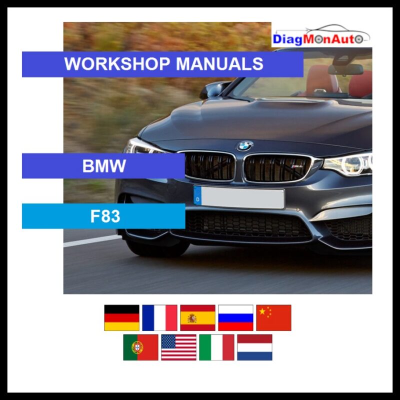 tis-BMW-F83-primary
