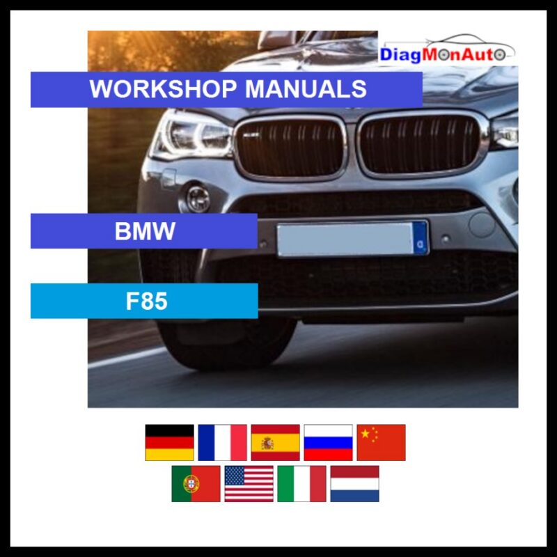 tis-BMW-F85-primary