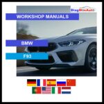 tis-BMW-F93-primary