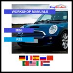 tis-MINI-R53-primary