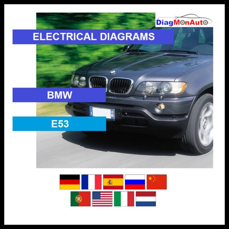 wds-BMW-E53-primary
