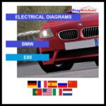 wds-BMW-E85-primary