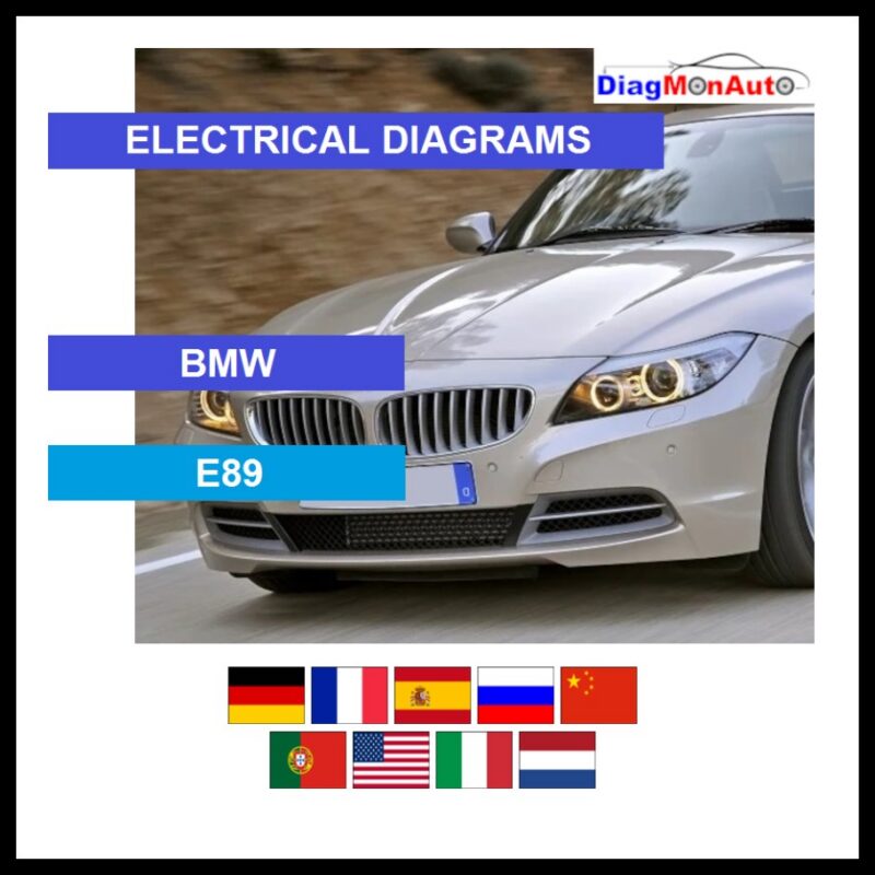 wds-BMW-E89-primary