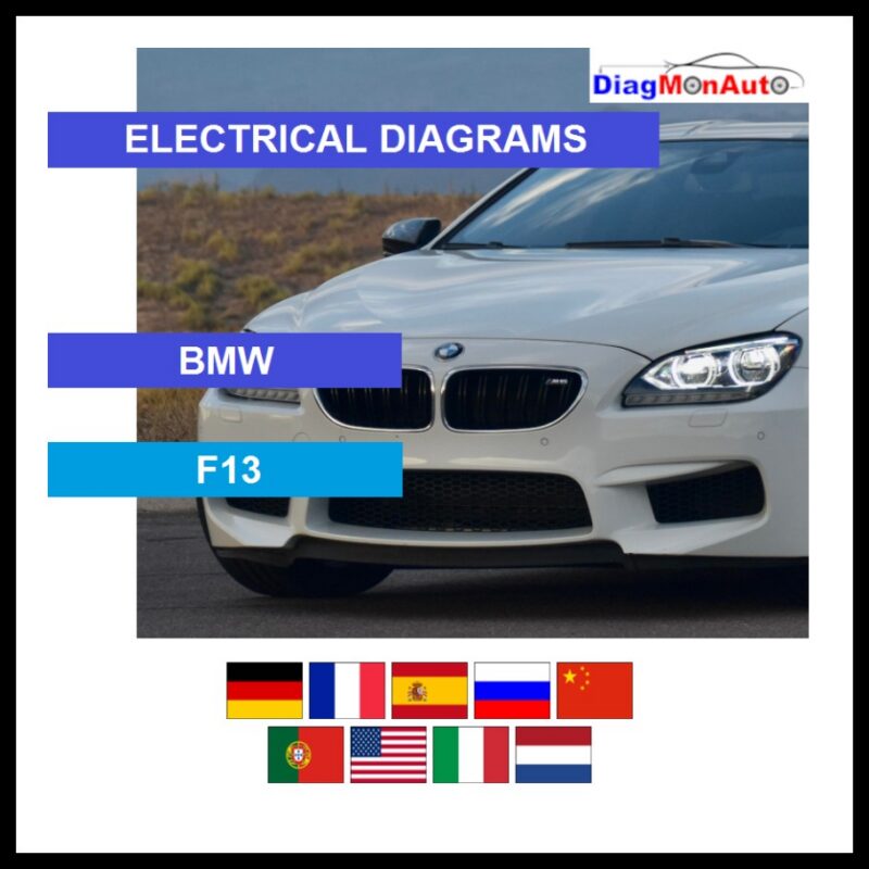 wds-BMW-F13-primary