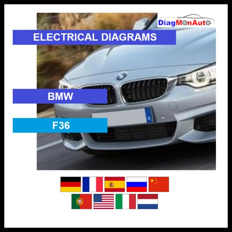 wds-BMW-F36-primary