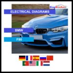wds-BMW-F80-primary
