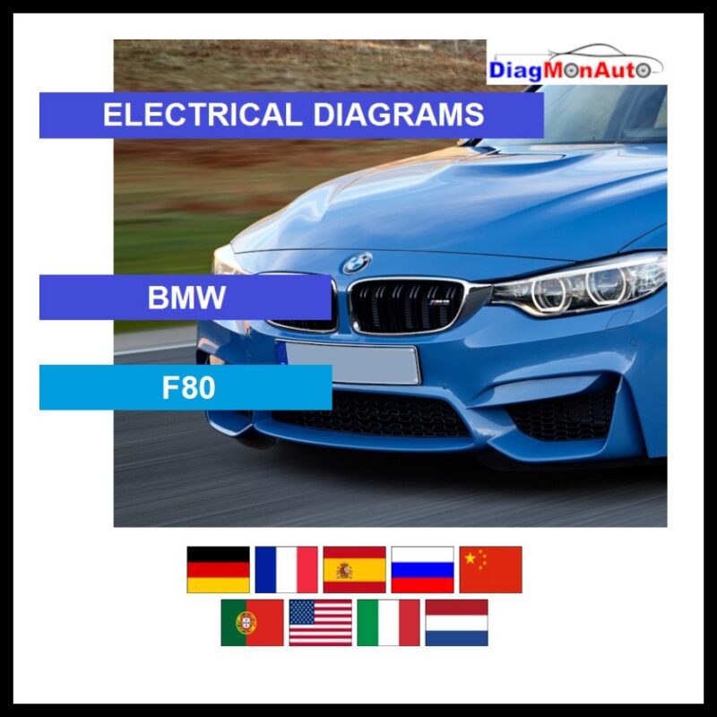 wds-BMW-F80-primary