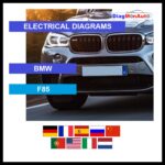 wds-BMW-F85-primary