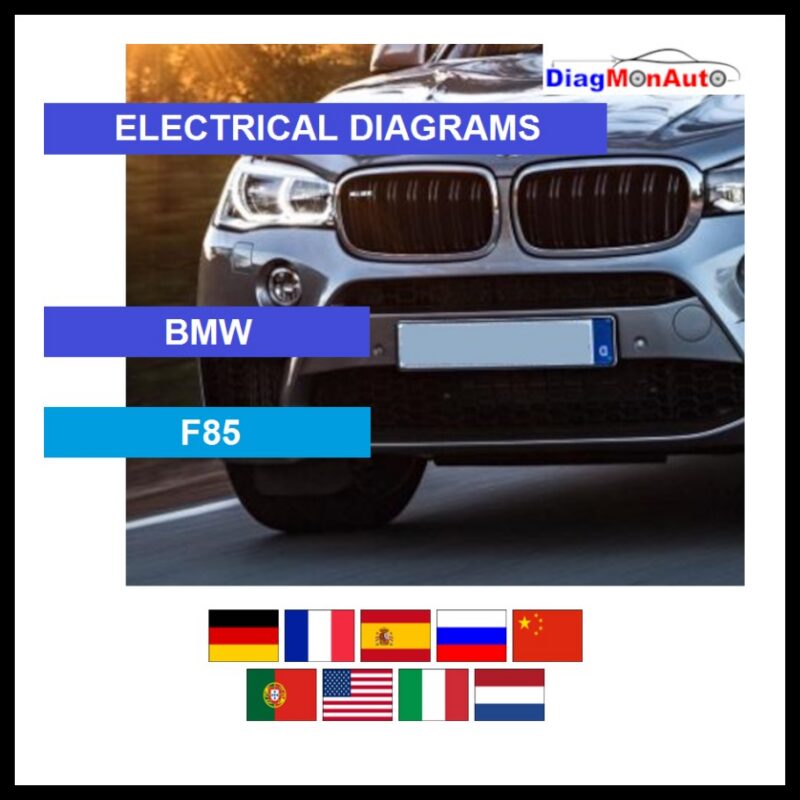 wds-BMW-F85-primary