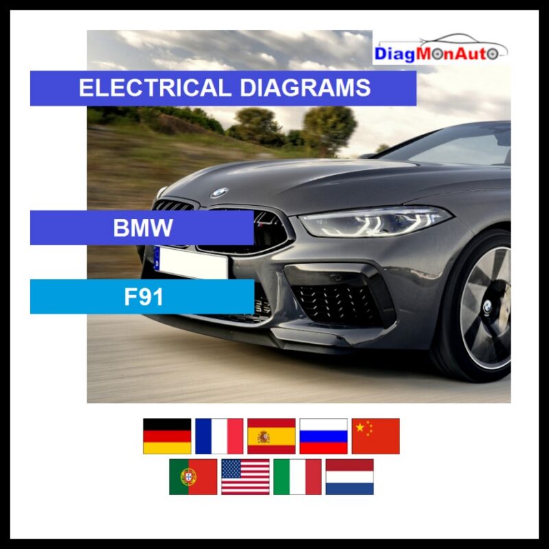 wds-BMW-F91-primary