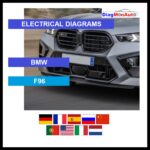 wds-BMW-F96-primary