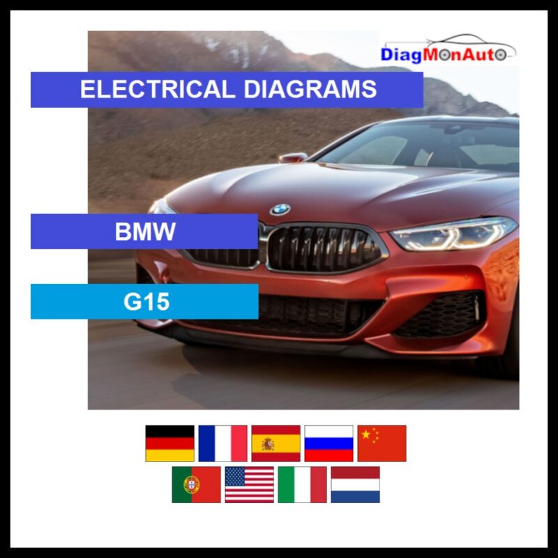 wds-BMW-G15-primary