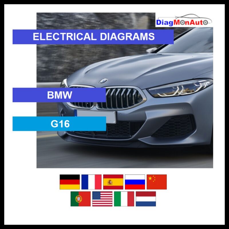 wds-BMW-G16-primary