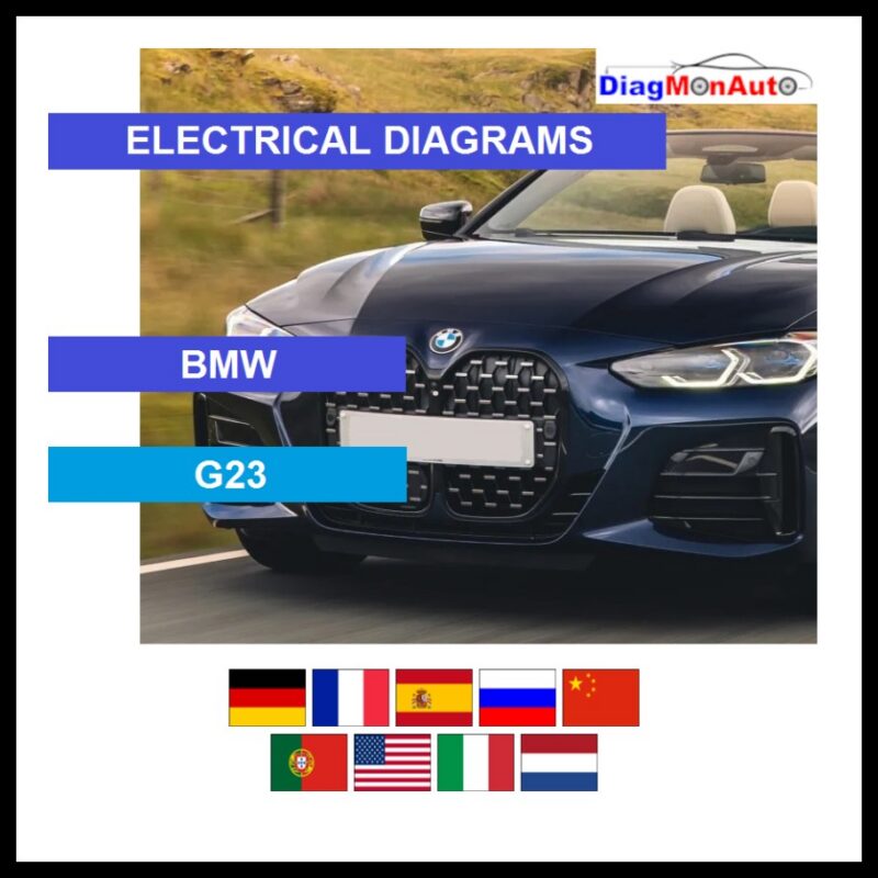 wds-BMW-G23-primary