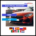 wds-BMW-G29-primary