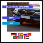 wds-BMW-G30-primary