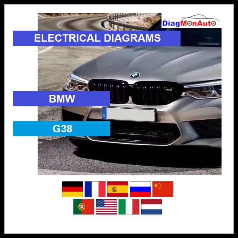 wds-BMW-G38-primary