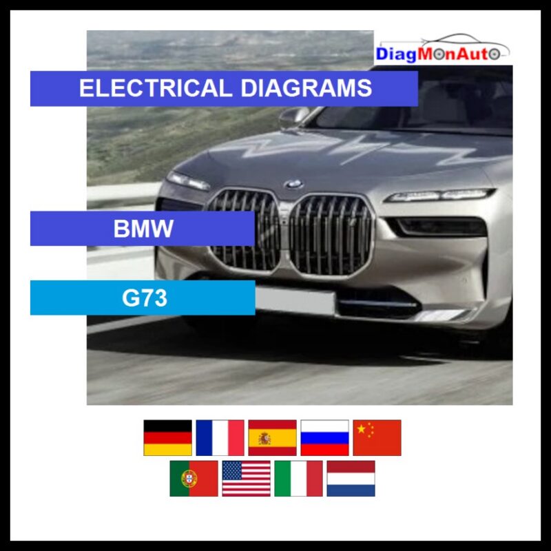 wds-BMW-G73-primary