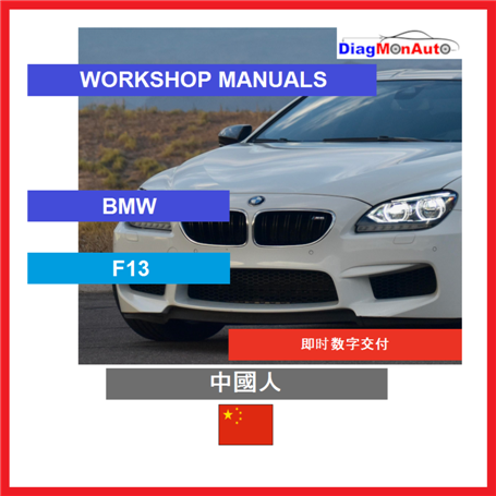Verkstadshandböcker BMW F13 中國人