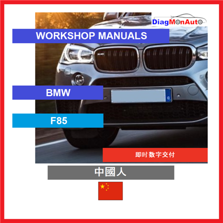 Werkstatthandbücher BMW F85 中國人