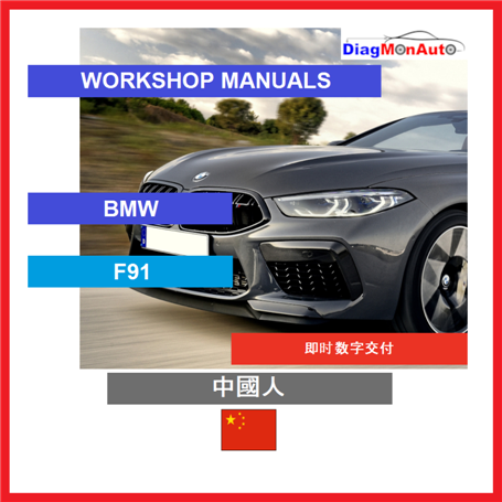Werkstatthandbücher BMW F91 中國人