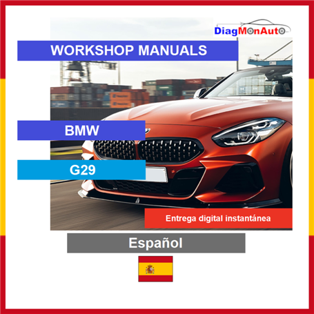 정비 매뉴얼 BMW G29 Español