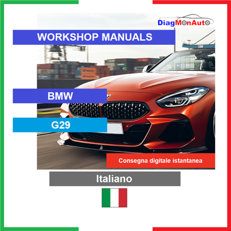 정비 매뉴얼 BMW G29 Italiano