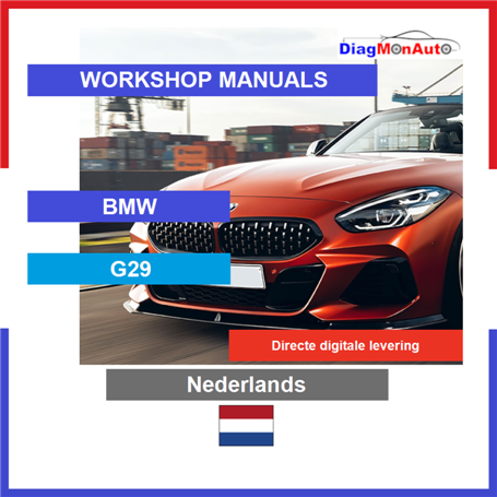 정비 매뉴얼 BMW G29 Nederlands